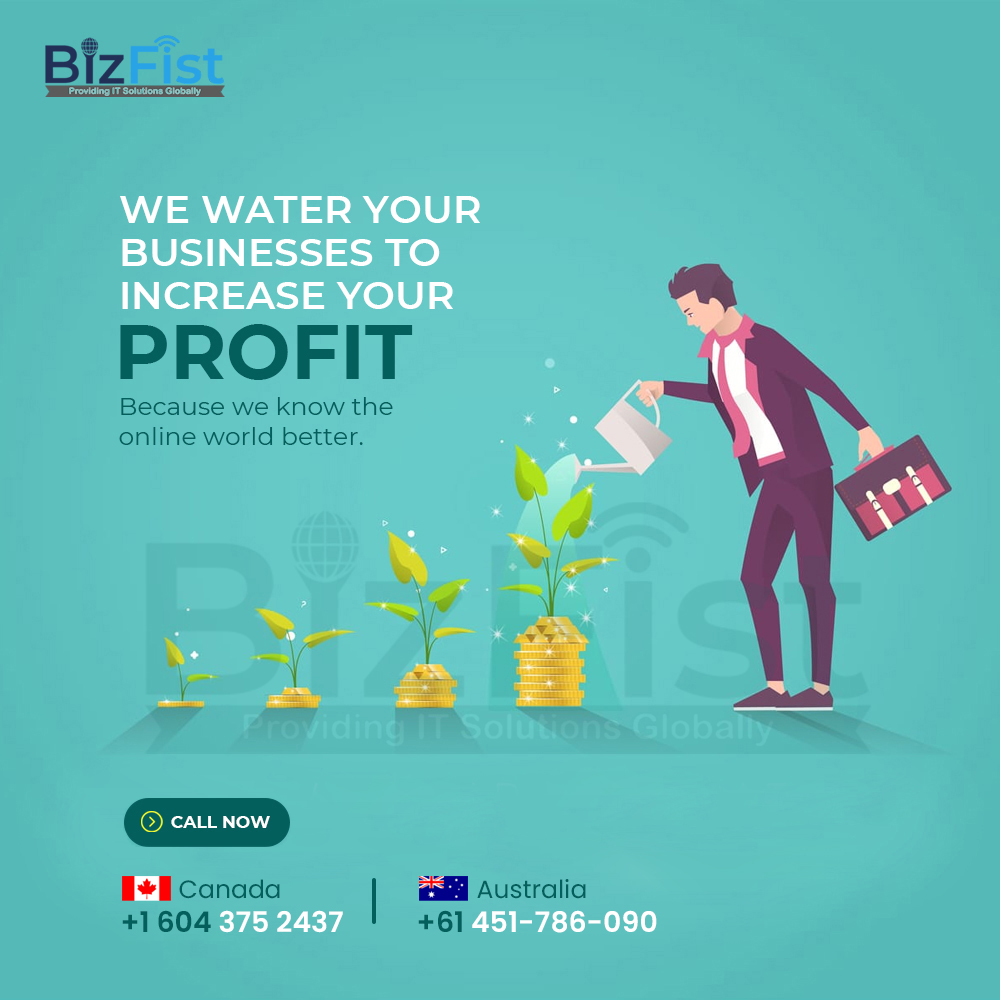 Bizfist IT Solutions Ltd | 5393 198 St, Langley, BC V3A 1G1, Canada | Phone: (604) 375-2437