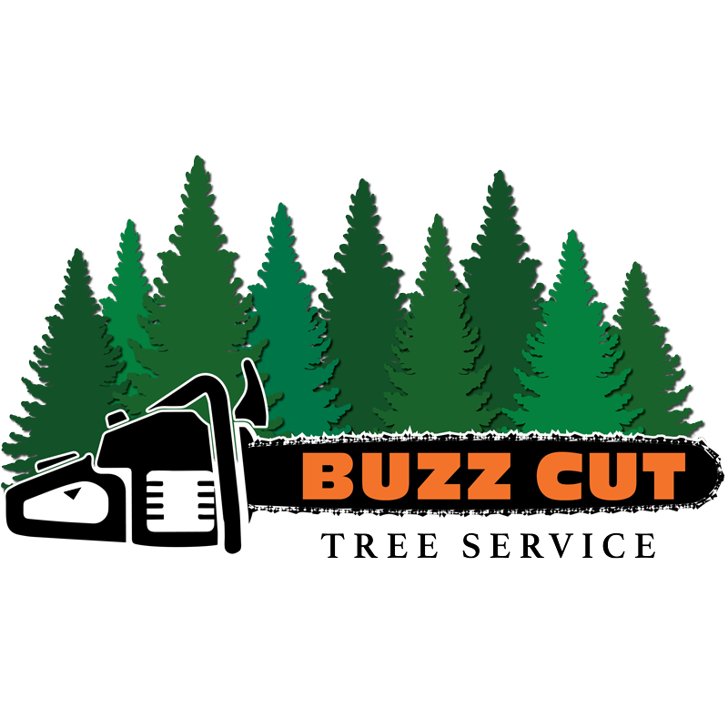 Buzz Cut Tree Service | 109 Dorchester Dr, St. Albert, AB T8N 4Y4, Canada | Phone: (780) 257-8746