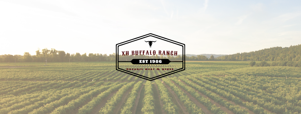 XH Buffalo Ranch | 938 Green Lake S Rd, 70 Mile House, BC V0K 2K2, Canada | Phone: (250) 456-2319