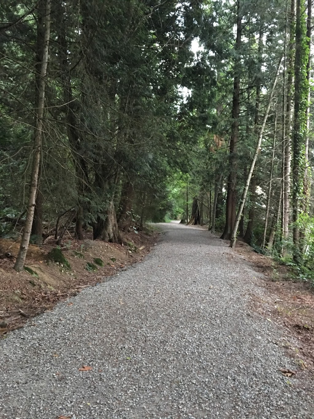 Riverview Forest | Coquitlam, BC V3C 5W7, Canada | Phone: (604) 927-3000