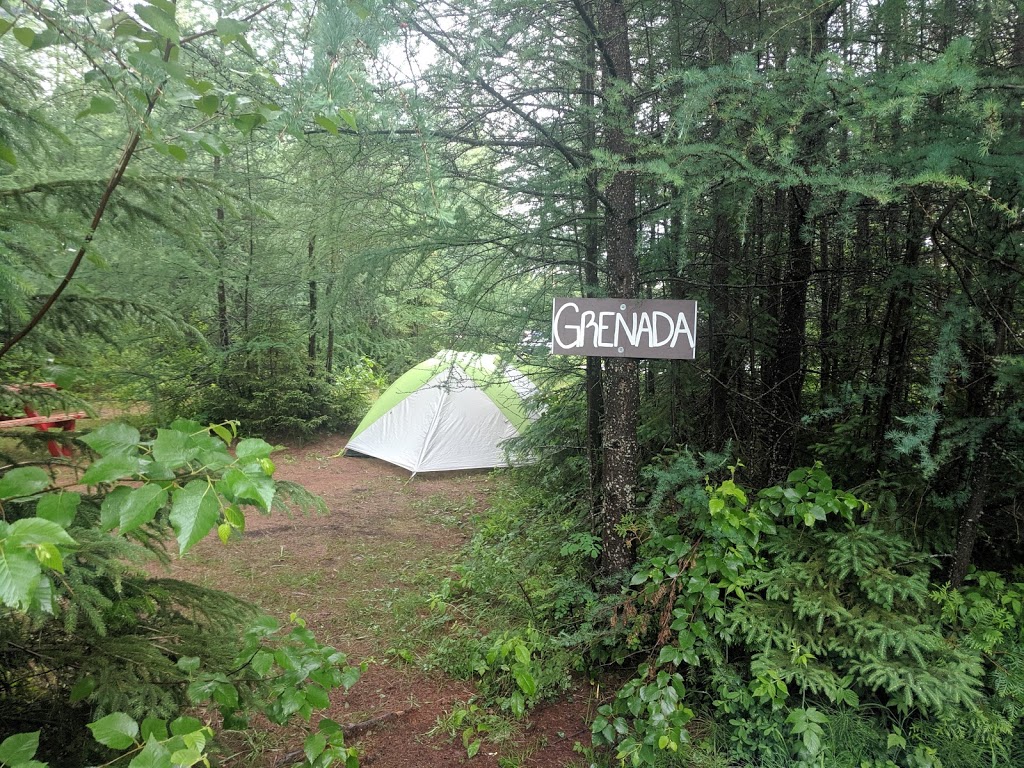 Camping Dallaire | 54 Chemin du Lac Nairne, Saint-Aimé-des-Lacs, QC G0T 1S0, Canada | Phone: (418) 439-2785