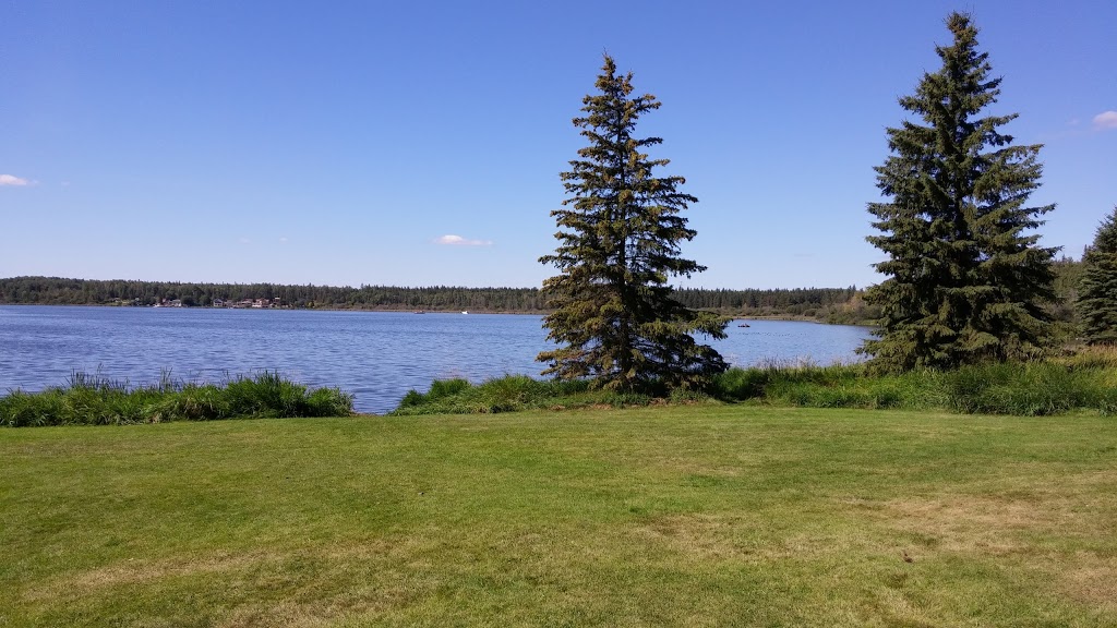 Pigeon Lake Provincial Park | Township Rd 470, Wetaskiwin County No. 10, AB T0C 2C0, Canada | Phone: (780) 586-2644