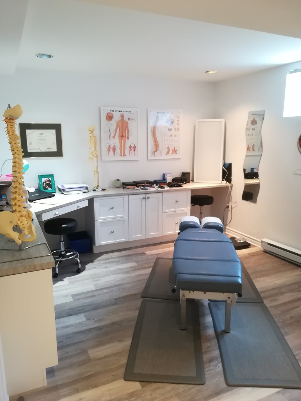 Dr Stephanie de Haas, D.C. - Chiropractor | 1832 Northlands Dr Apt 1, Orléans, ON K4A 3S2, Canada | Phone: (613) 830-8632