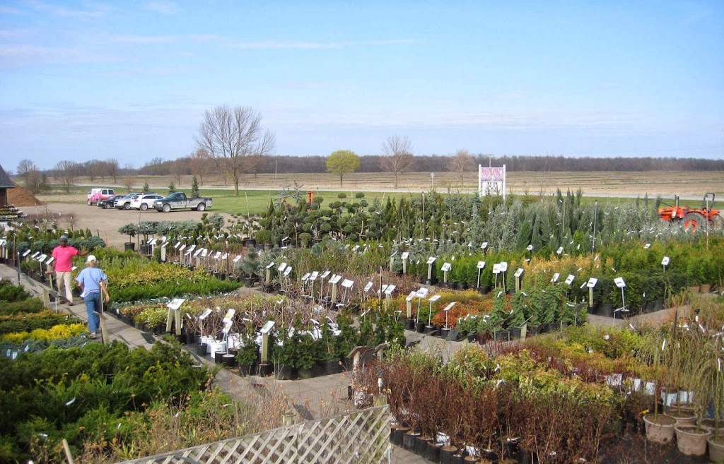 Masfrankc Garden Centre | 2188 West Corner Drive (Just North of Parkhill on Grand Bend Rd) Parkhill, ON, Canada, North Middlesex, ON N0M 2K0, Canada | Phone: (519) 294-0055