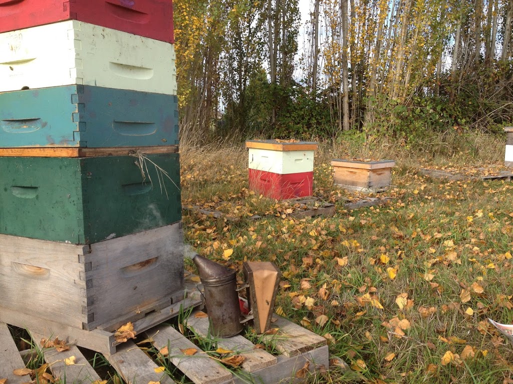 Urban Bee Honey Farm | 6440 W Saanich Rd, Saanichton, BC V8M 1W8, Canada | Phone: (250) 580-0263