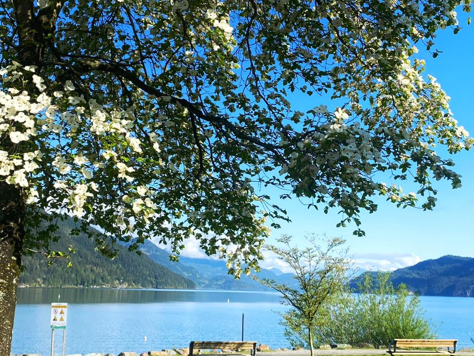 Dogwood Massage Therapy | 232 Miami River Dr B. 727, Harrison Hot Springs, BC V0M 1K0, Canada | Phone: (604) 206-6823