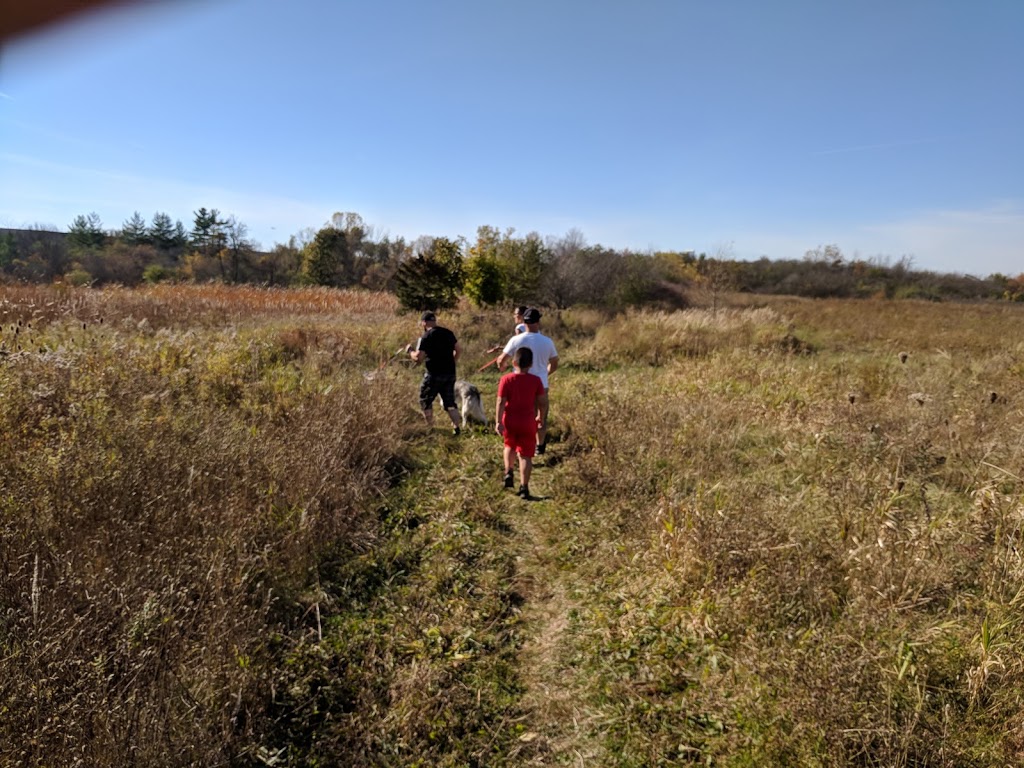 Billy Monkley Cascade | Mt Albion Trail, Hamilton, ON L8W 2A4, Canada