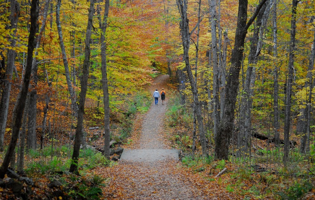 Wolf Trail | Chemin du Lac Meech, Chelsea, QC J9B 1H9, Canada | Phone: (613) 239-5000