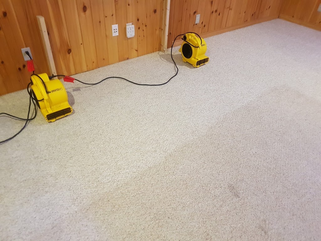 Deep Scrub Carpet & Upholstery Cleaning | 43 Memory Ln, Cambridge, ON N3C 3X7, Canada | Phone: (519) 591-9387