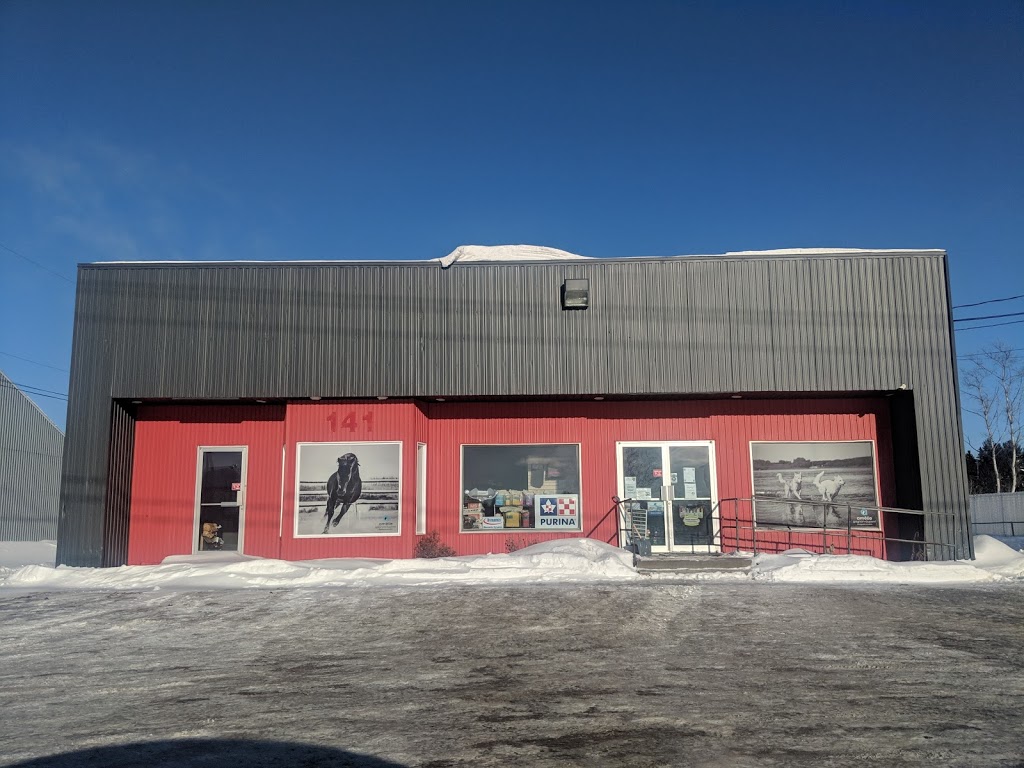 Dynamix Pont-Rouge | 141 Boul Notre Dame, Pont-Rouge, QC G3H 3L1, Canada | Phone: (418) 873-8565