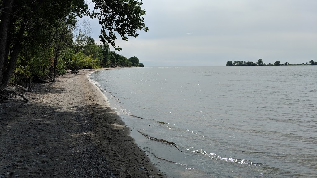 Sand Beach Wetlands Conservation Area | Concession Rd 3, Stella, ON K0H 2S0, Canada