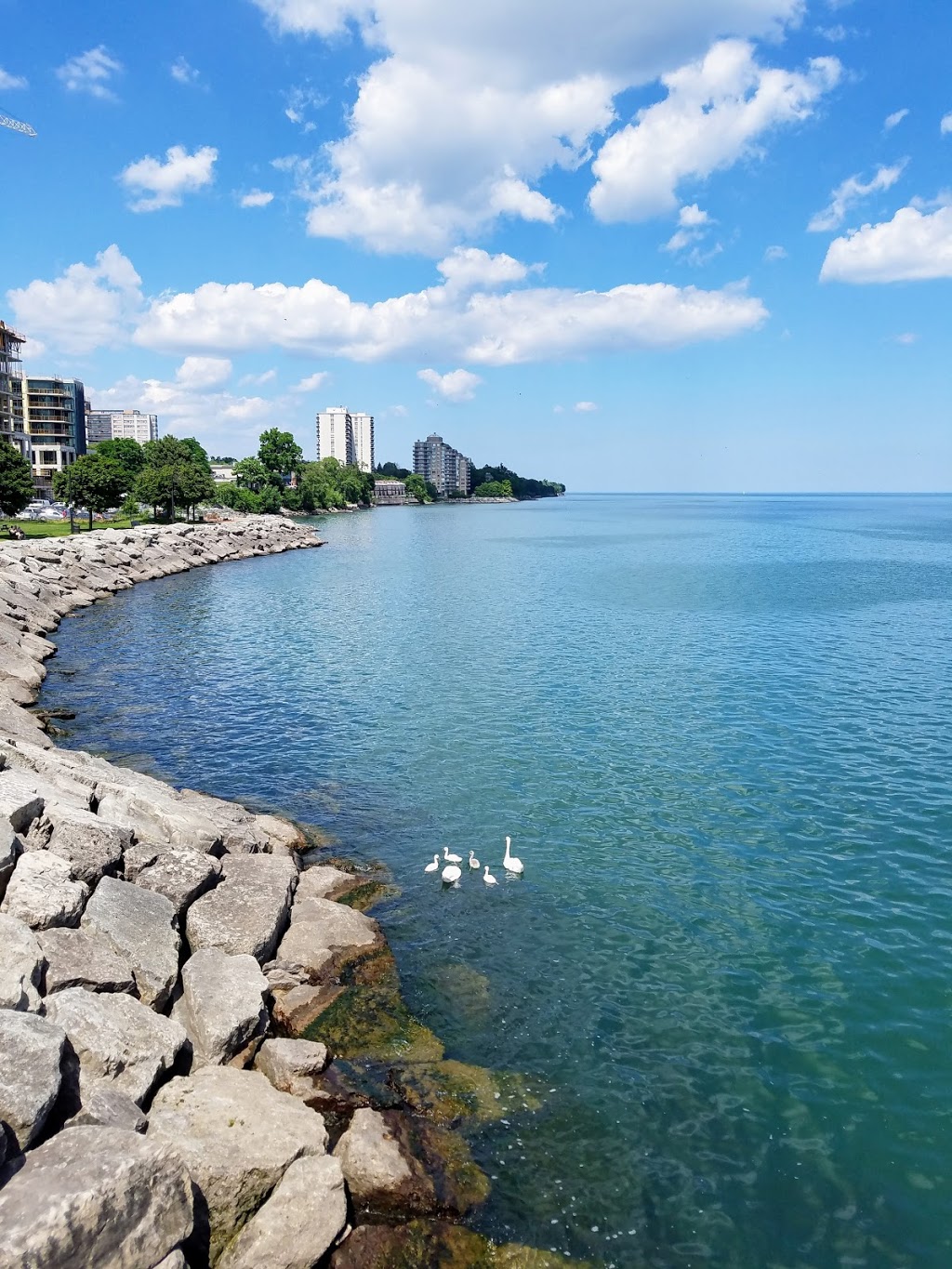 Brant Street Pier | 1400 Lakeshore Rd, Burlington, ON L7S 1Y2, Canada | Phone: (905) 335-7777