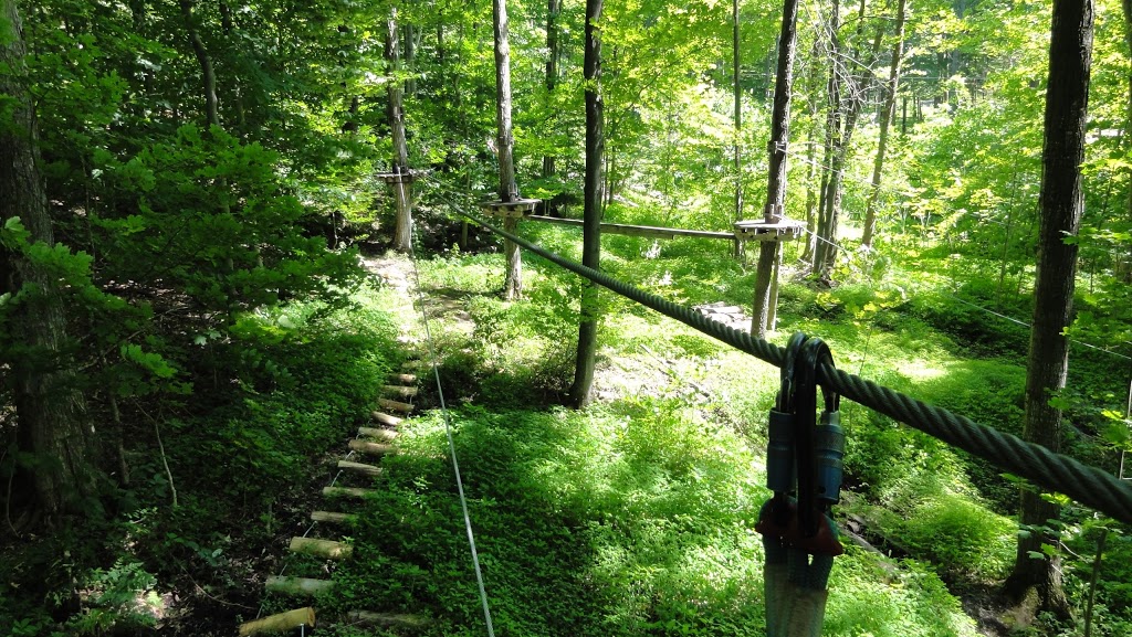 Treetop Trekking Barrie at Horseshoe Valley | 1101 Horseshoe Valley Rd. Comp 10 R.R. #1, Barrie, ON L4M 4Y8, Canada | Phone: (705) 835-7600