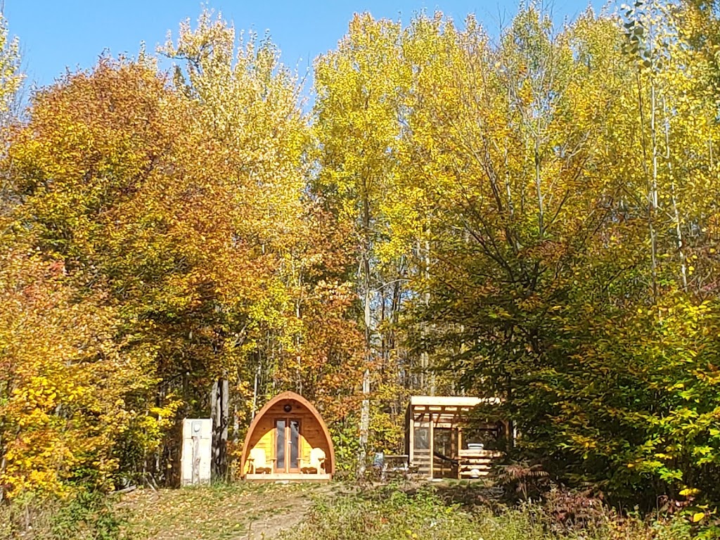 Deacon Escarpment Cabins, Camping and Trails Ltd. | 12560 ON-60, Golden Lake, ON K0J 1X0, Canada | Phone: (613) 585-0134