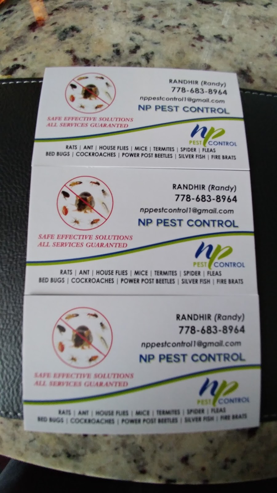 NP pest control | 14066 88 Ave, Surrey, BC V3W 3L6, Canada | Phone: (778) 683-8964