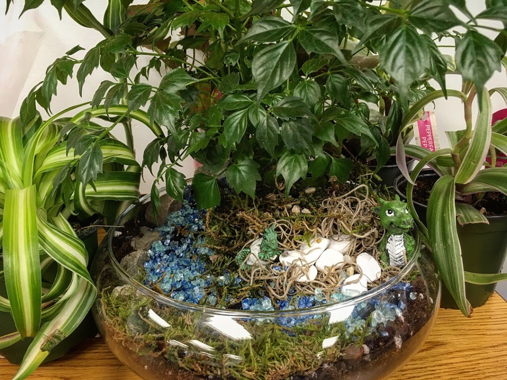 The Fairy Hut | 4039 Brentwood Rd NW, Calgary, AB T2L 1L1, Canada | Phone: (403) 813-1585