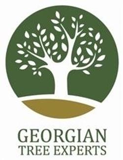 Georgian Tree Experts | 243 Dominion Dr, Stayner, ON L0M 1S0, Canada | Phone: (705) 241-5711