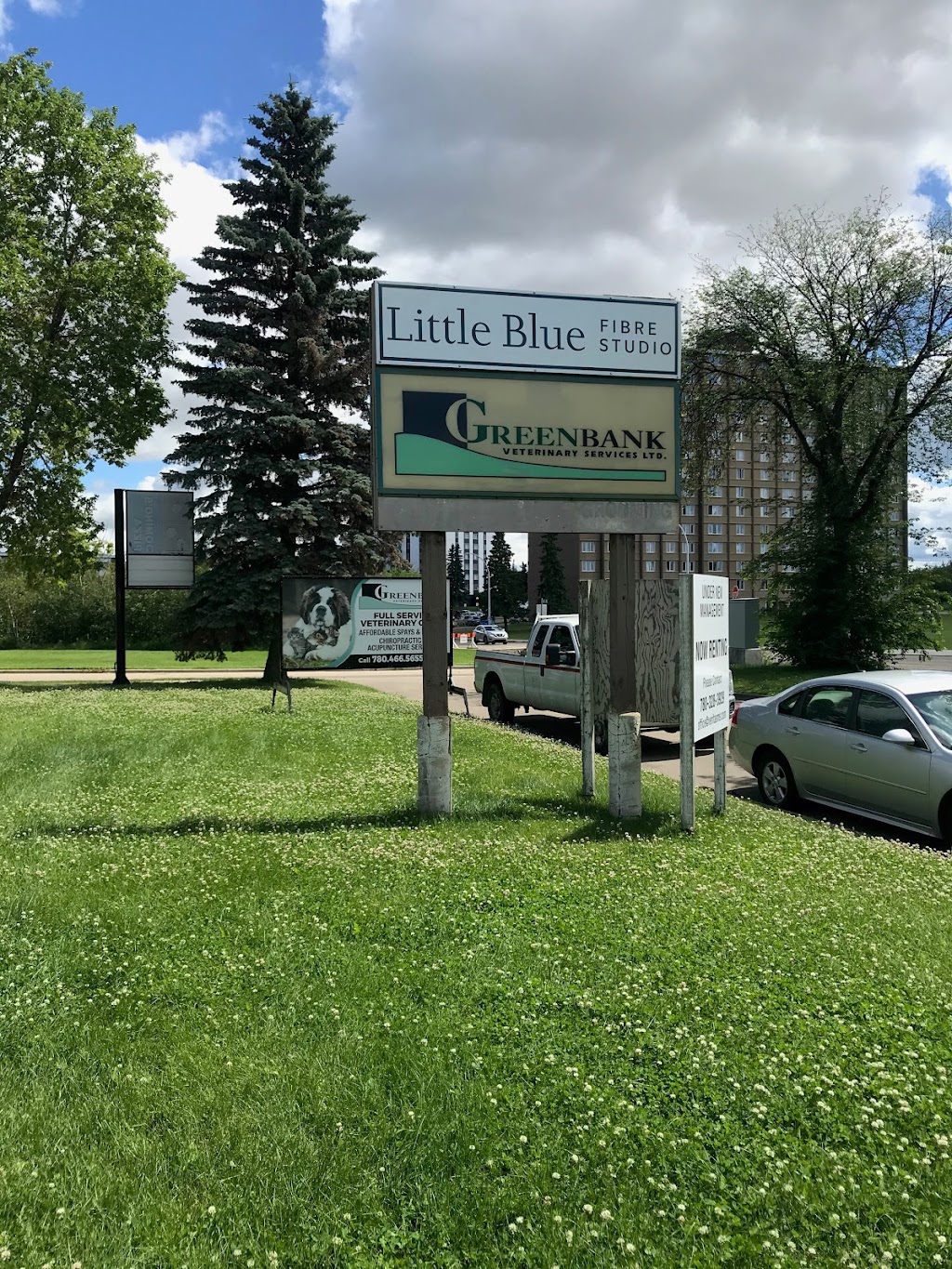 Little Blue Fibre Studio | 6718 101 Ave NW, Edmonton, AB T6A 0H7, Canada | Phone: (587) 498-2395