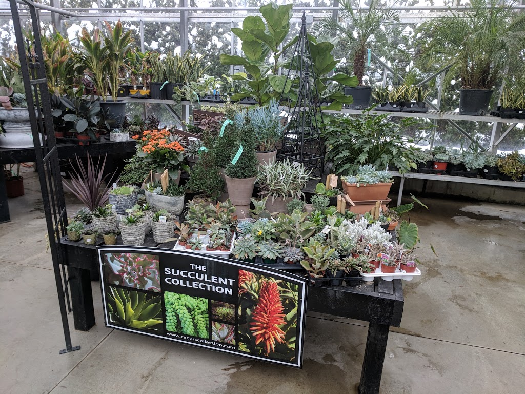 Glasshouse Nursery & Garden Centre | 56 Creek Rd, Chatham-Kent, ON N7M 0L2, Canada | Phone: (519) 352-1127