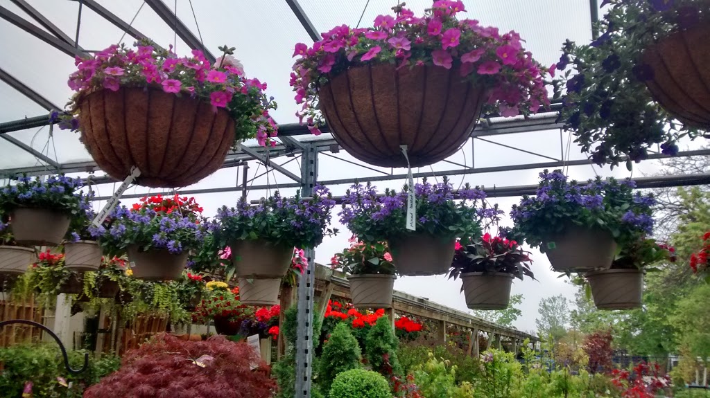 Greenwood Garden Centre | 6745 Kingston Rd, Scarborough, ON M1B 1G9, Canada | Phone: (416) 282-2666