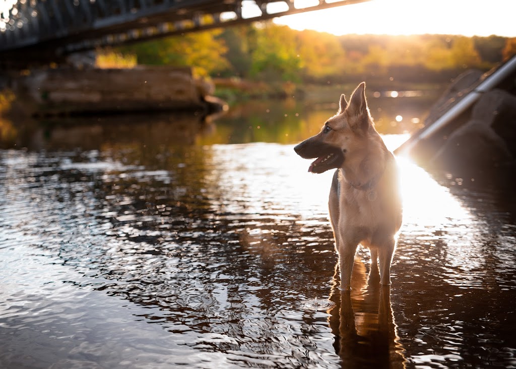 Matt Forgione Photography | 3400 Nova Scotia Trunk 3, Chester, NS B0J 1J0, Canada | Phone: (902) 521-8680