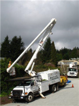 Pacific West Tree Service | 1990 W 1st St, North Vancouver, BC V7P 4V7, Canada | Phone: (604) 980-8334