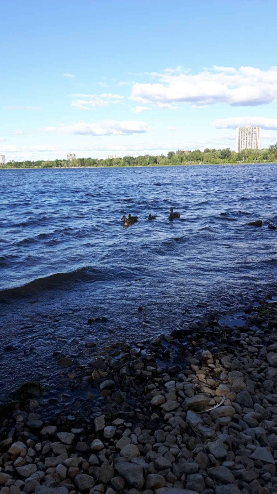 Britannia Conservation Area | Ottawa River Pathway, Ottawa, ON K2B 5X1, Canada