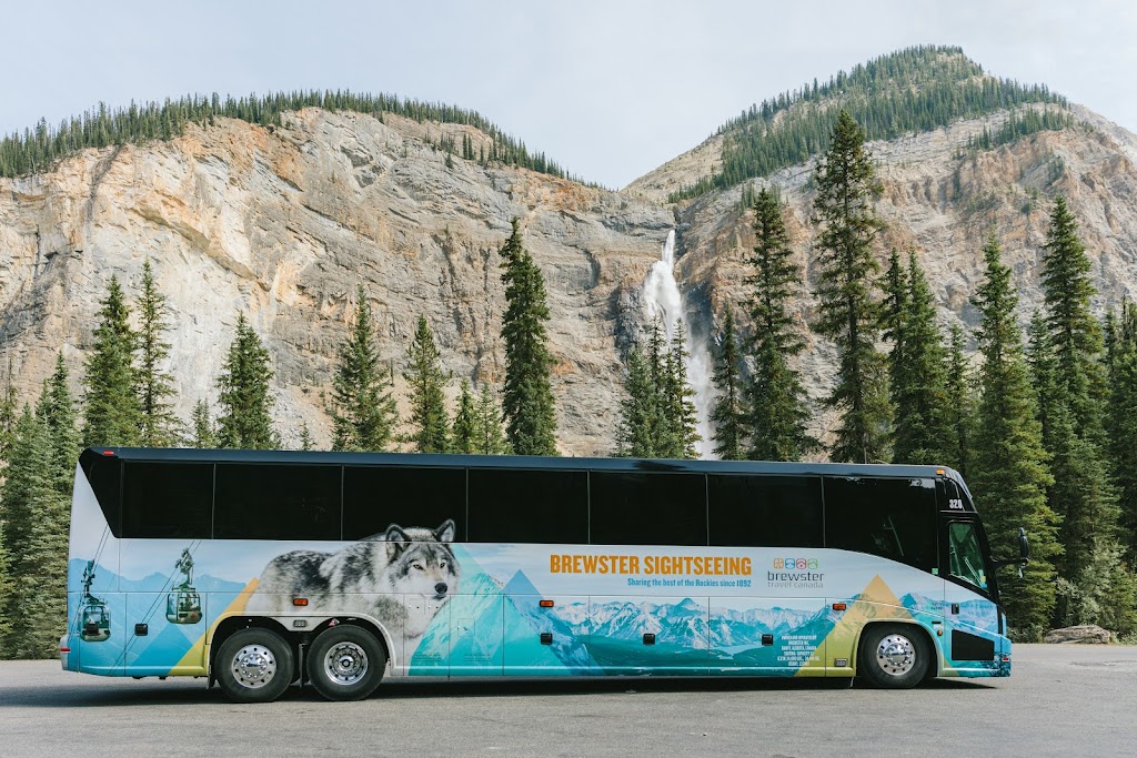 Brewster Sightseeing | 100 Gopher St, Banff, AB T1L 1G4, Canada | Phone: (866) 360-8839