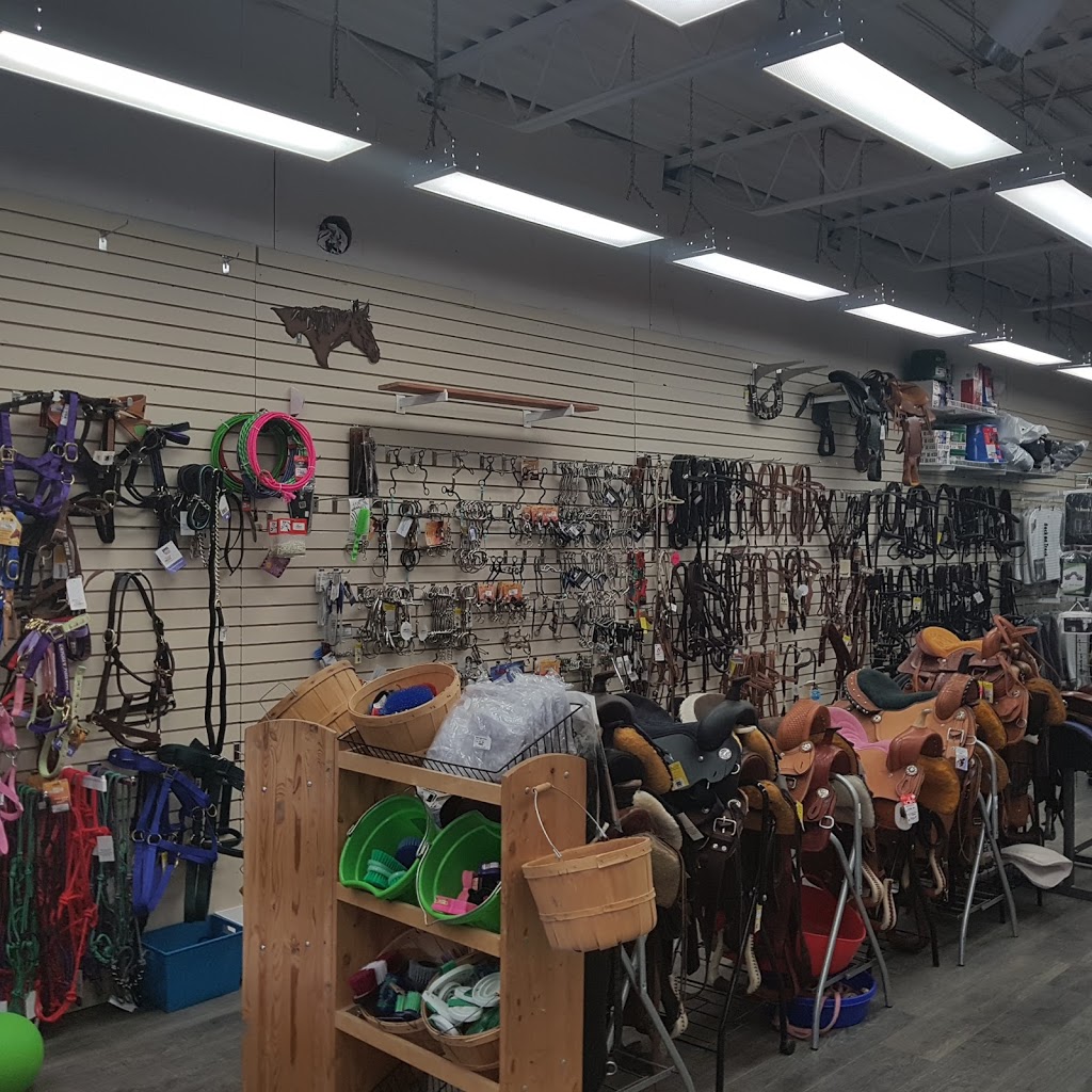 Tack In The Box | 3519 Main St, West Saint Paul, MB R4A 4A8, Canada | Phone: (204) 899-4134