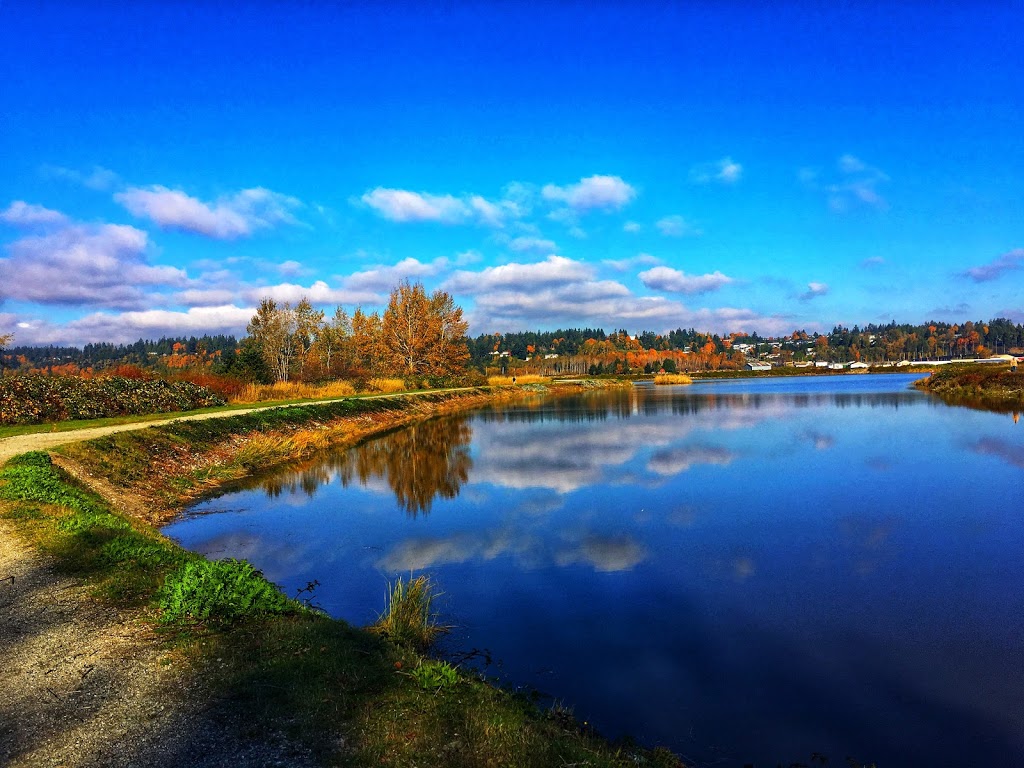 Serpentine Fen Observation Deck | 44 Ave, Surrey, BC V3S 0L2, Canada