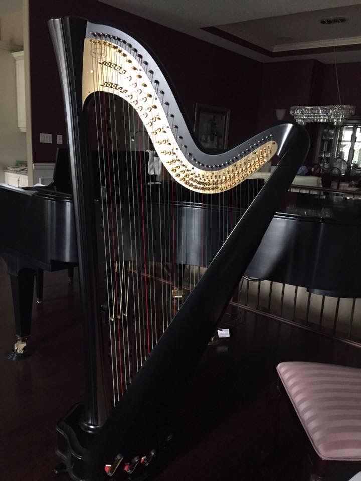 Oceanside Piano and Harp Studio | 1020 Stahley Pl, Parksville, BC V9P 0C5, Canada | Phone: (250) 248-9619