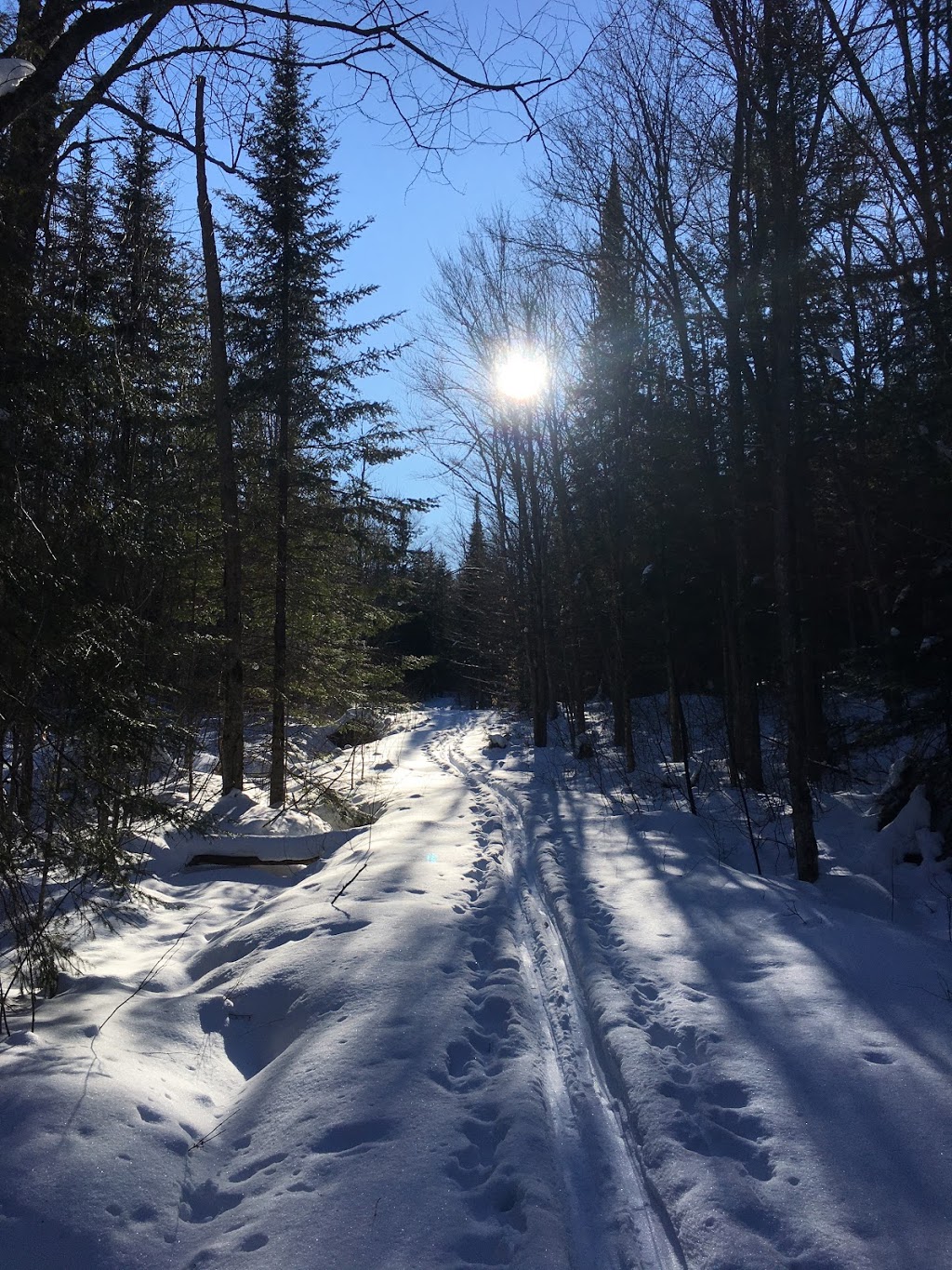 Club de ski de fond de labelle | Chemin de la Mine, Labelle, QC J0T 1H0, Canada | Phone: (819) 686-2008