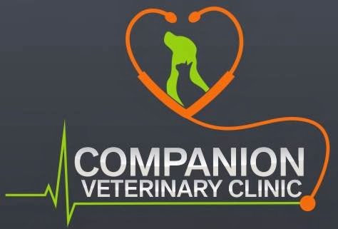 Companion Veterinary Clinic | 8 Blackburn Dr W Southwest, Edmonton, AB T6W 2K5, Canada | Phone: (780) 439-4353