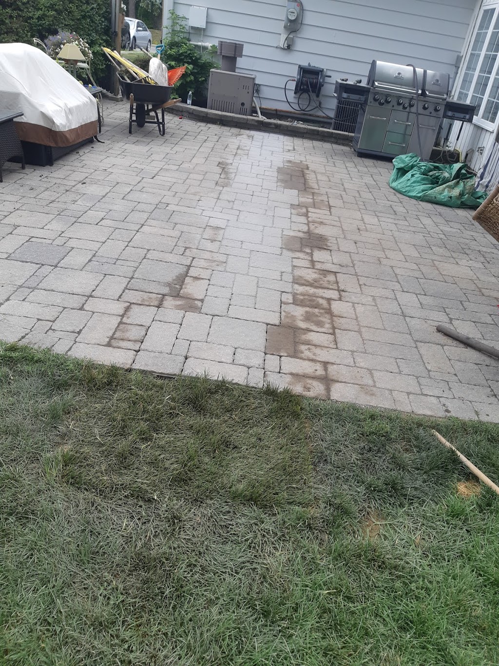 Springfield landscaping | 54 Rue de Beauharnois O, Montréal, QC H2N 1J5, Canada | Phone: (514) 594-0425