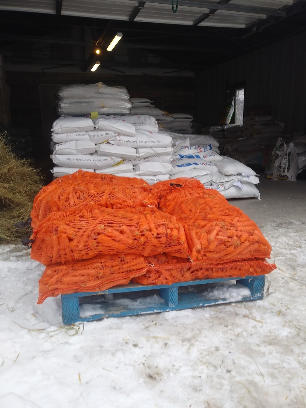 Haliburton Feed & Seed | 138 Mallard Rd, Dysart et al, ON K0M 1S0, Canada | Phone: (705) 306-9563