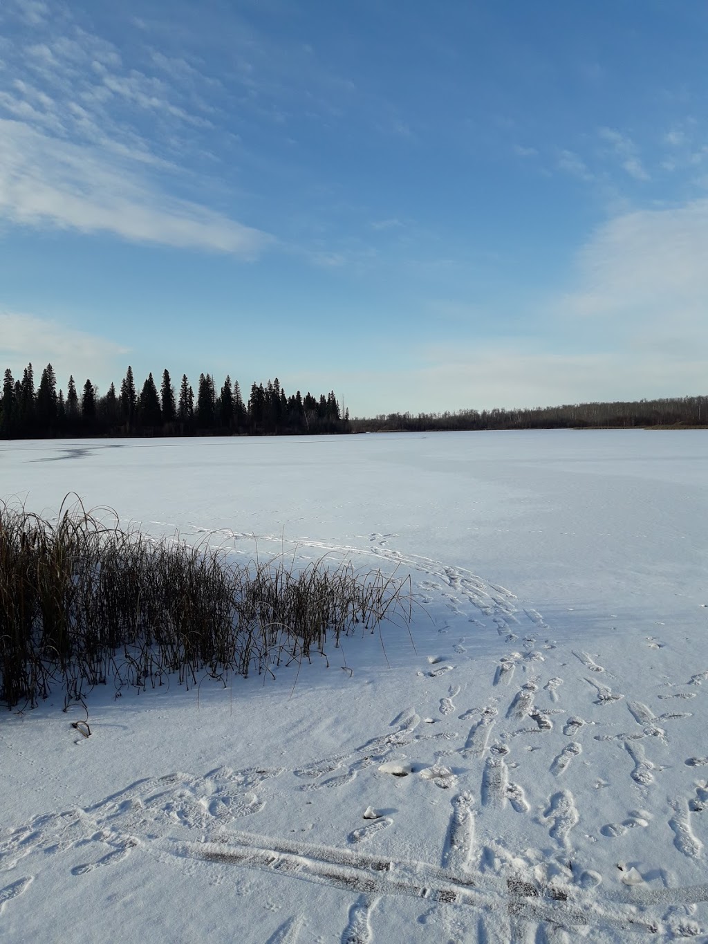 Islet Lake Staging Area - Trailhead | Beaver County, AB T8G 1G2, Canada | Phone: (780) 922-3293