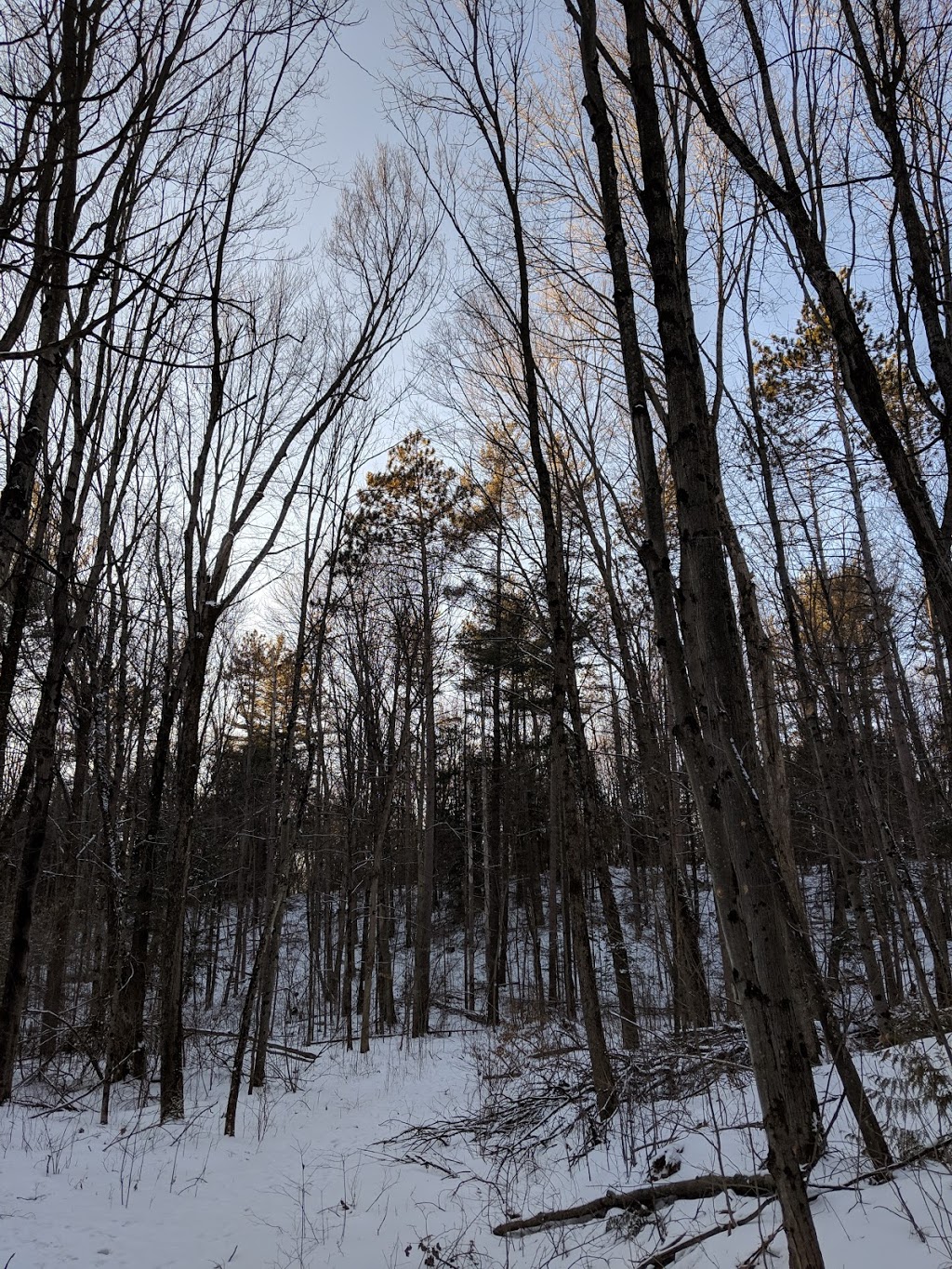 Logbench Ridge | Kawartha Lakes, ON K0L 2W0, Canada