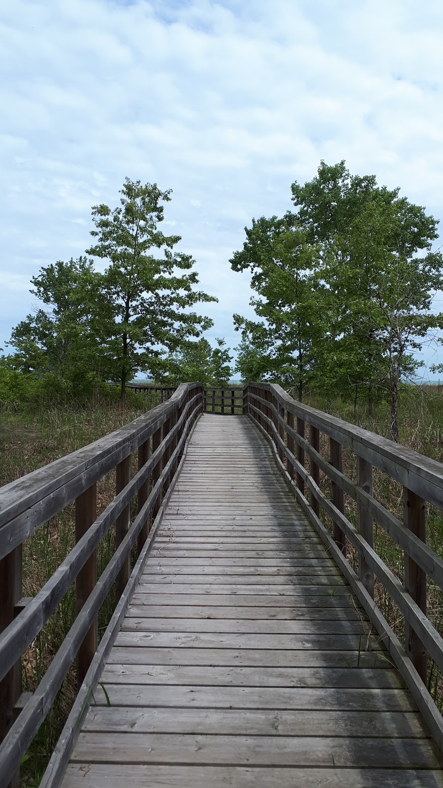 Tulip Tree Trail | Gardiner, Morpeth, ON N0P 1X0, Canada