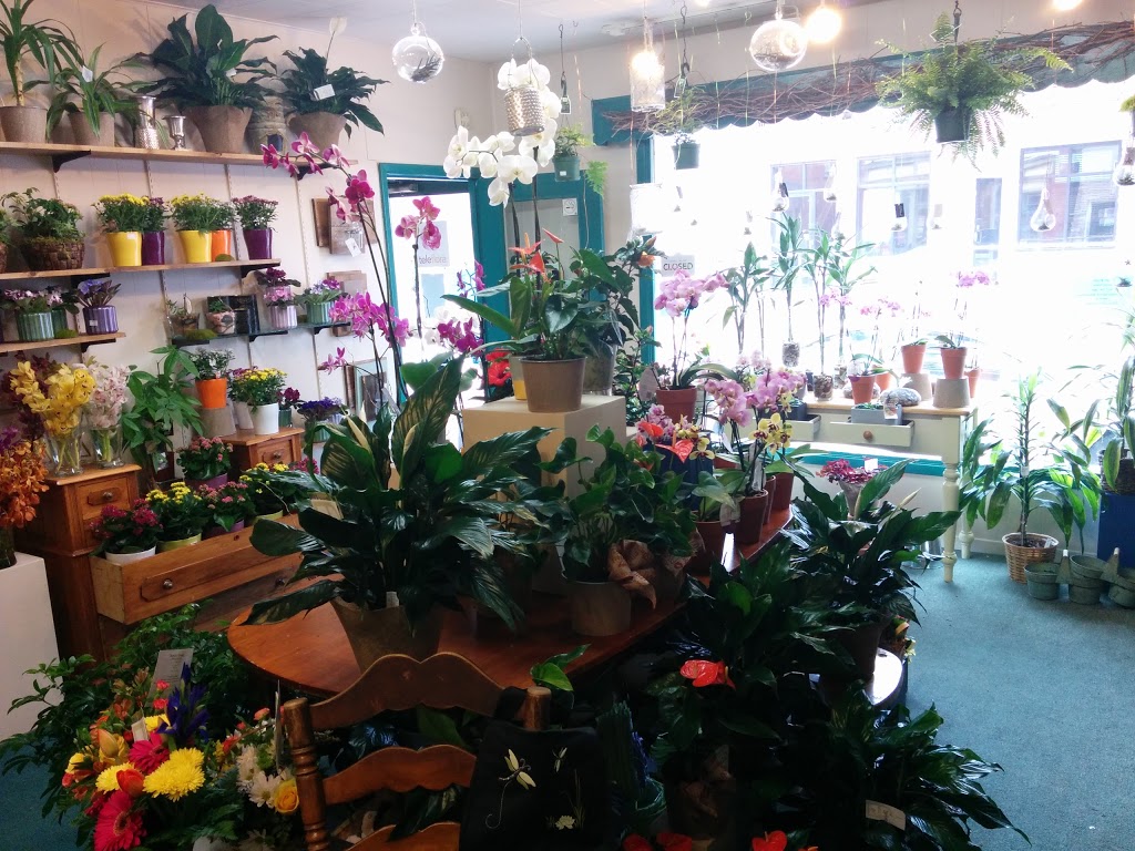 The Planted Arrow Flowers & Gifts | 501 St Lawrence St, Winchester, ON K0C 2K0, Canada | Phone: (613) 774-3825