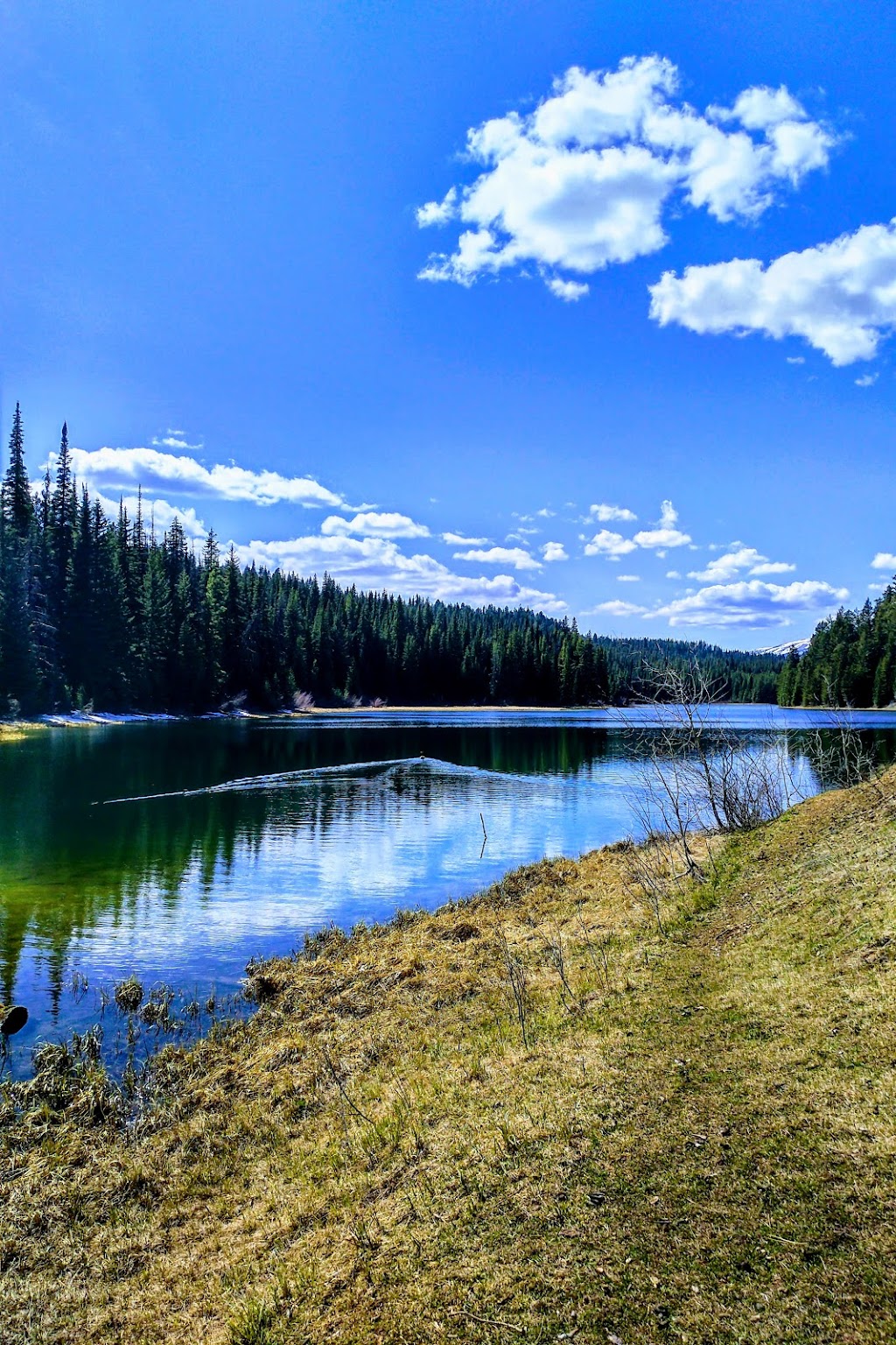 Blue Earth Lake Provincial Park | Ashcroft, BC V0K 1A0, Canada | Phone: (800) 689-9025