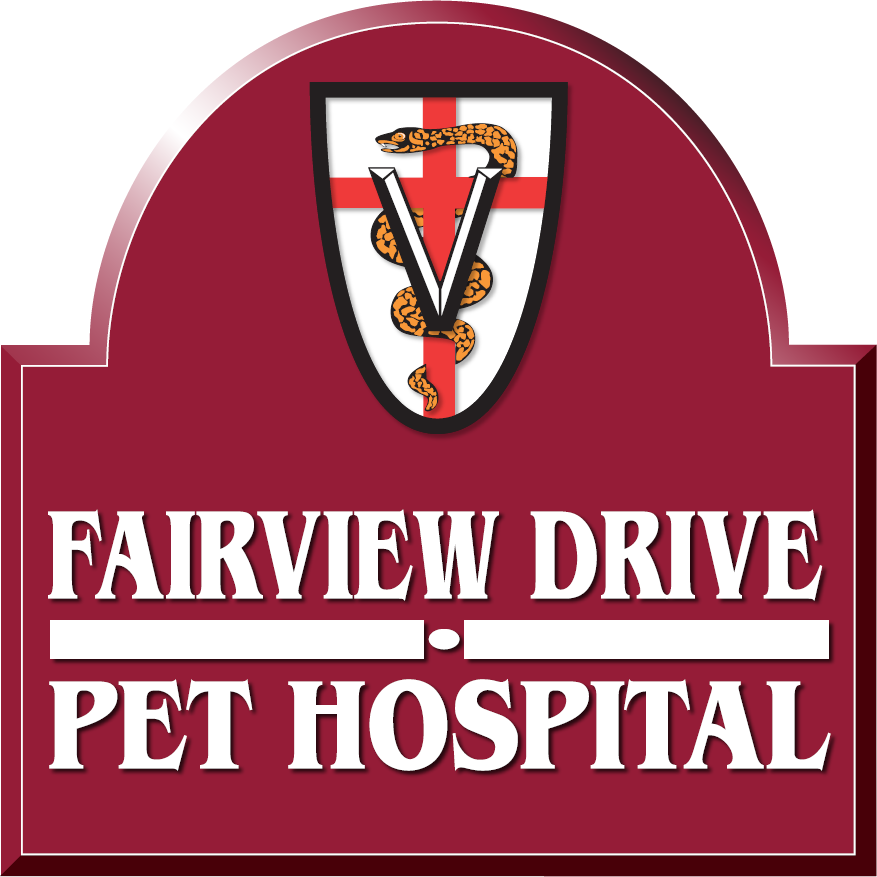 FAIRVIEW DRIVE PET HOSPITAL | 403 Fairview Dr Unit 7, Brantford, ON N3R 6T2, Canada | Phone: (519) 753-7257