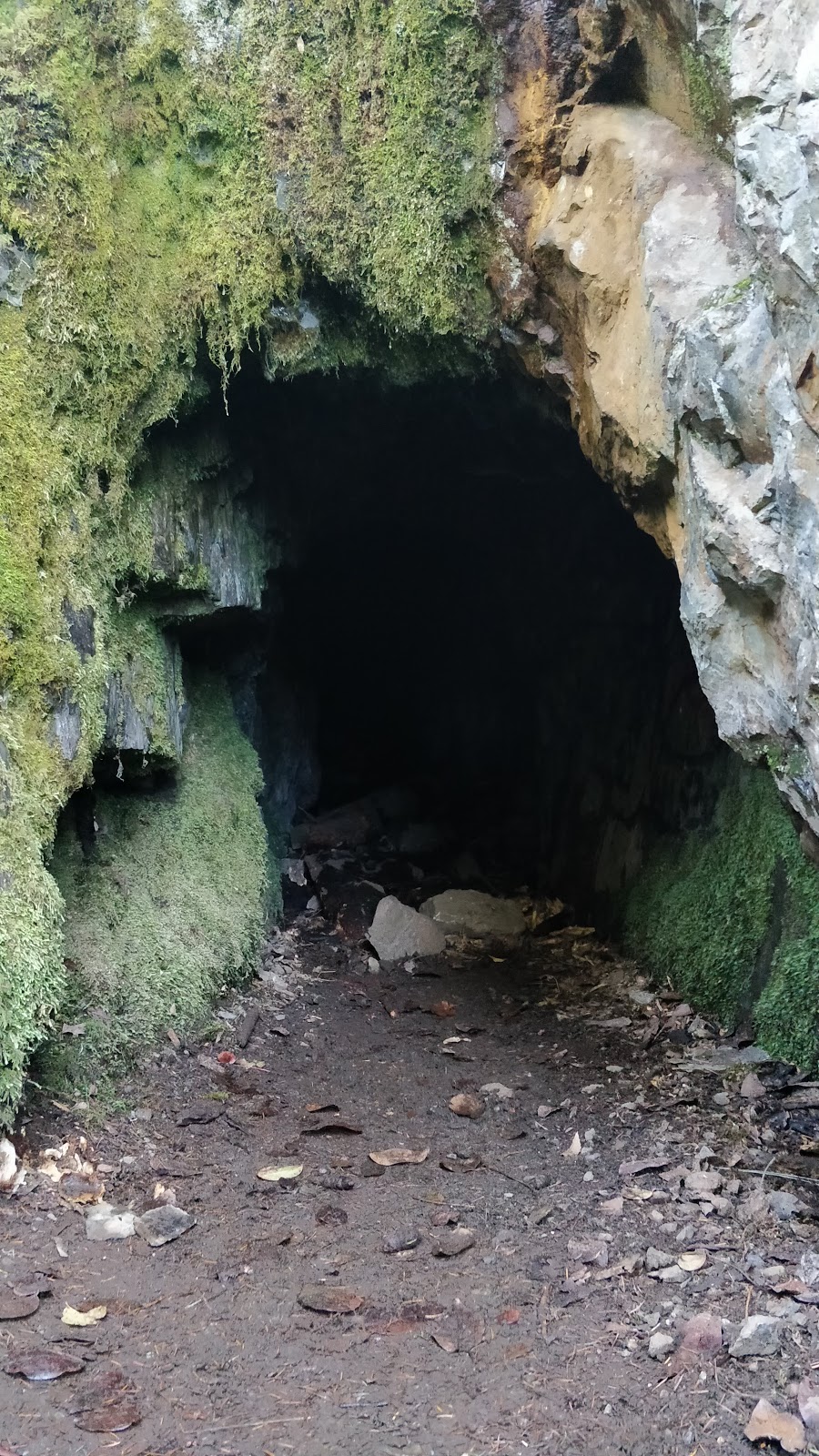 Goldstream Gold Mine | Langford, BC V0R, Canada