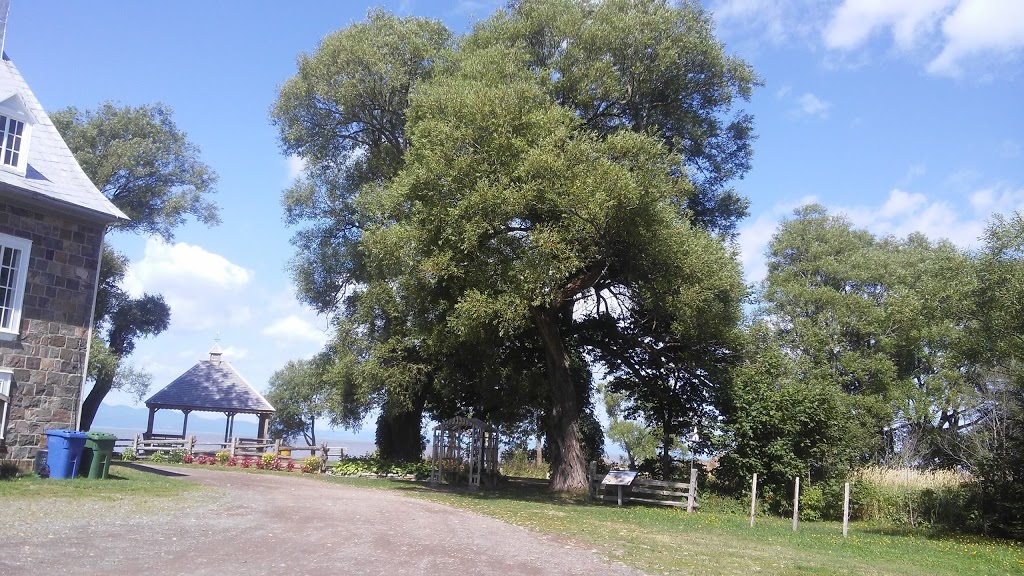 Le Café du Bon Dieu | 974 Route de la Seigneurie, Saint-Roch-des-Aulnaies, QC G0R 4E0, Canada | Phone: (418) 919-0556