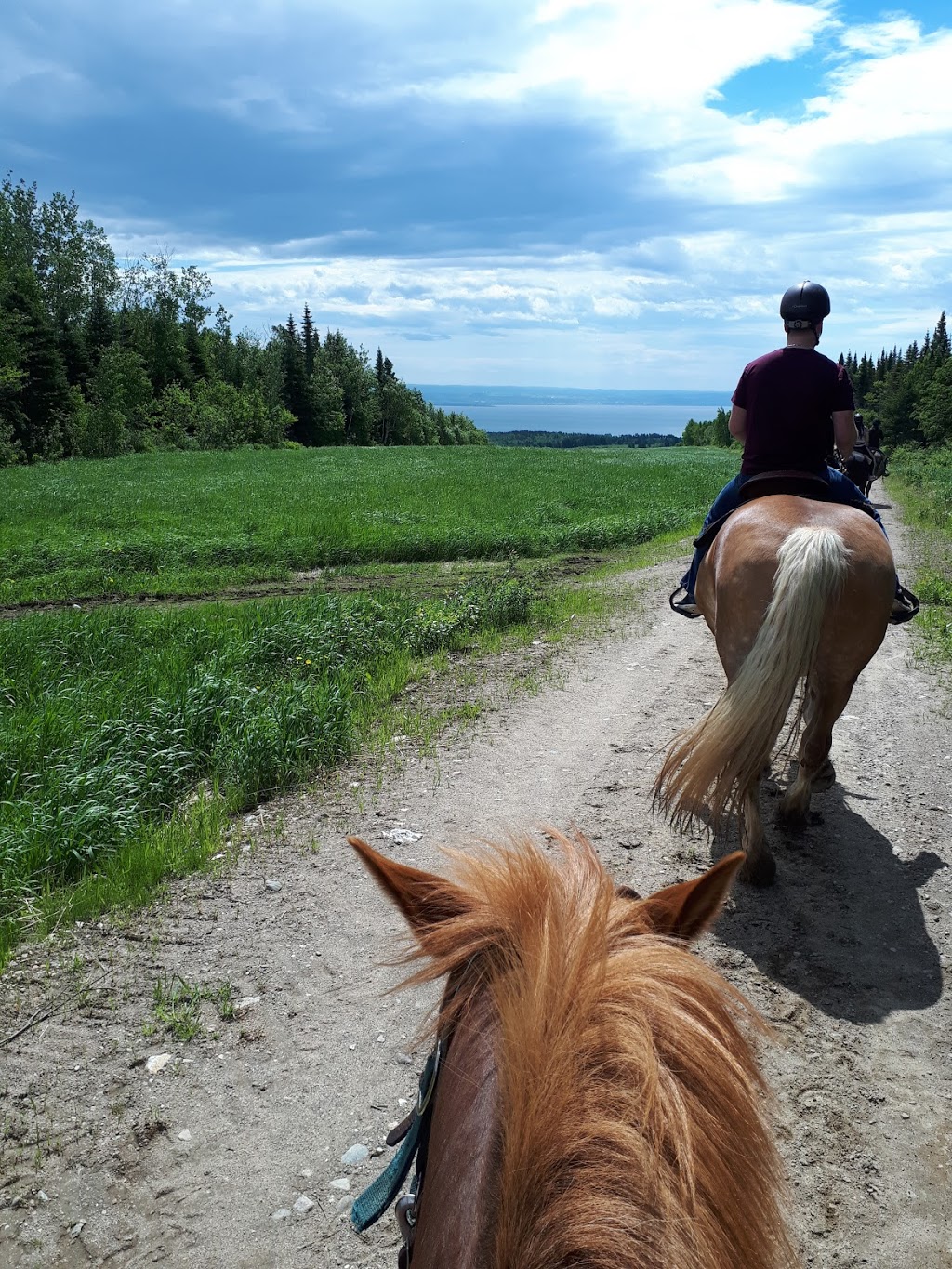 Les Écuries Entre Monts Et Marées | 645 Rang Saint Antoine, Saint-Irénée, QC G0T 1V0, Canada | Phone: (418) 452-3261