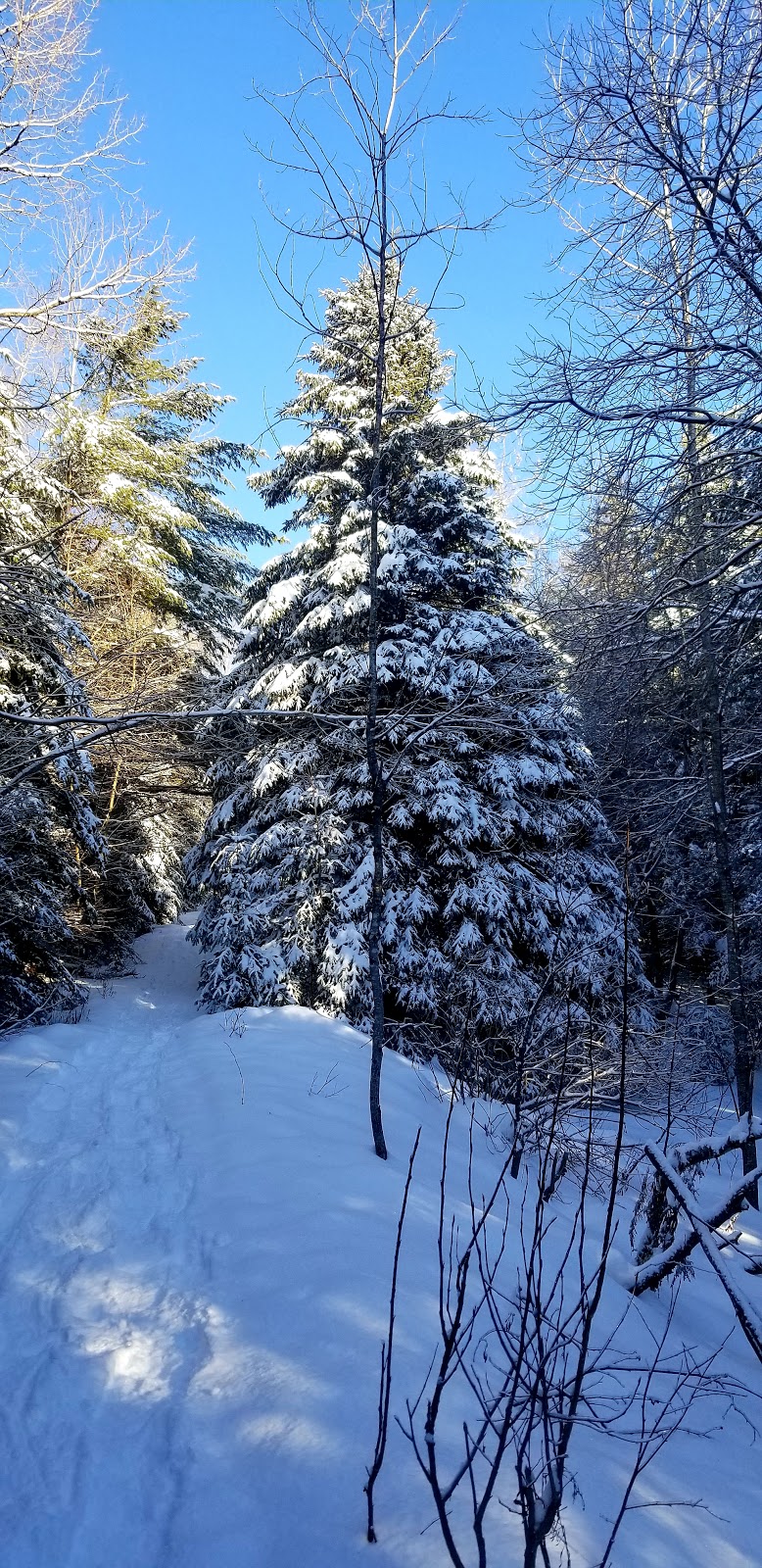 Mont Durocher | 1K4, 745-899 Boulevard des Monts, Sainte-Adèle, QC J8B 1K4, Canada