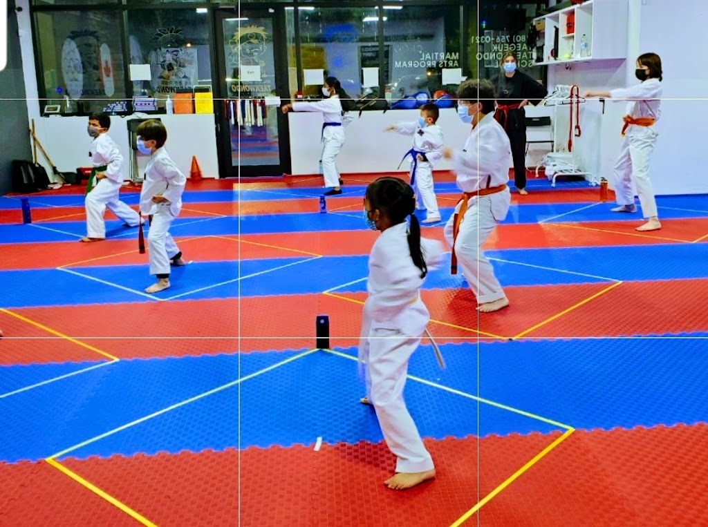 Taegeuk Taekwondo south Terwillegar | 1731 Towne Centre Blvd NW, Edmonton, AB T6R 3N9, Canada | Phone: (780) 668-7868