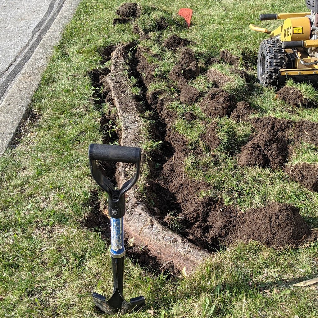 Caledon Stump Grinding | 18314 Humber Station Rd, Caledon, ON L7E 0Z5, Canada | Phone: (647) 295-0157