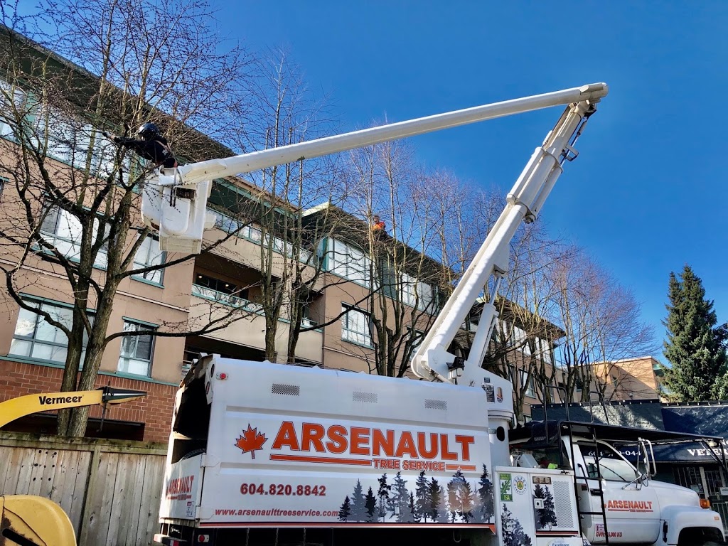 Arsenault Tree Service | 33746 Best Ave, Mission, BC V2V 6Z9, Canada | Phone: (604) 820-8842