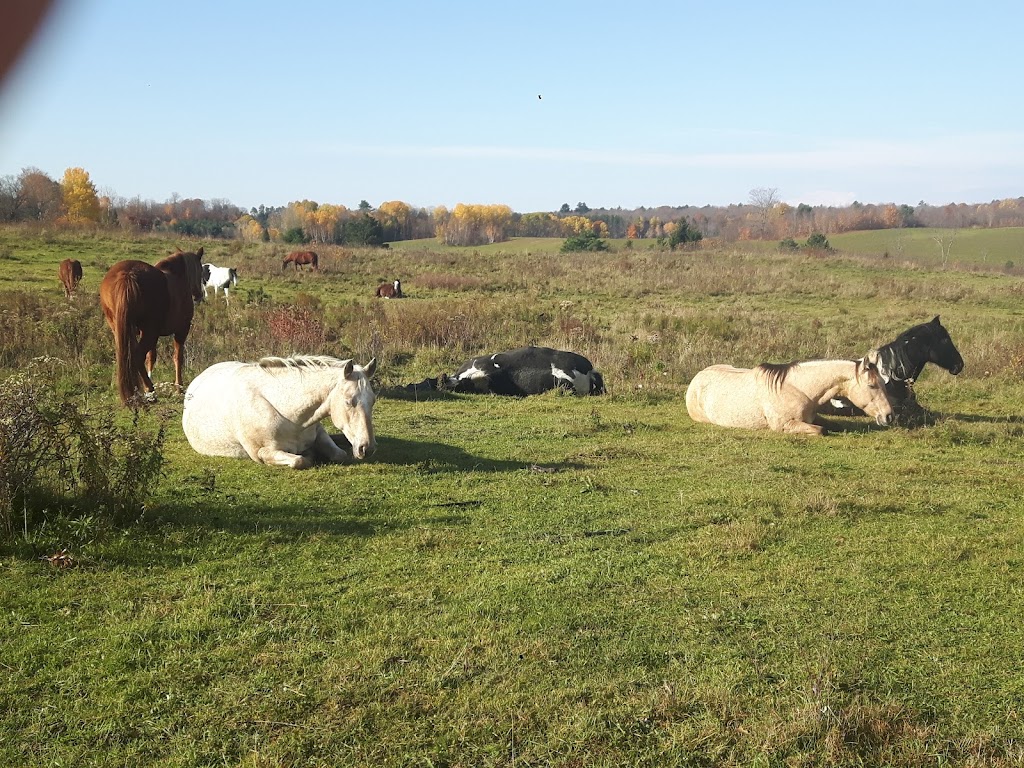 Winding Fences Farm | 1102 Ambleside Ln, Utterson, ON P0B 1M0, Canada | Phone: (705) 769-1418