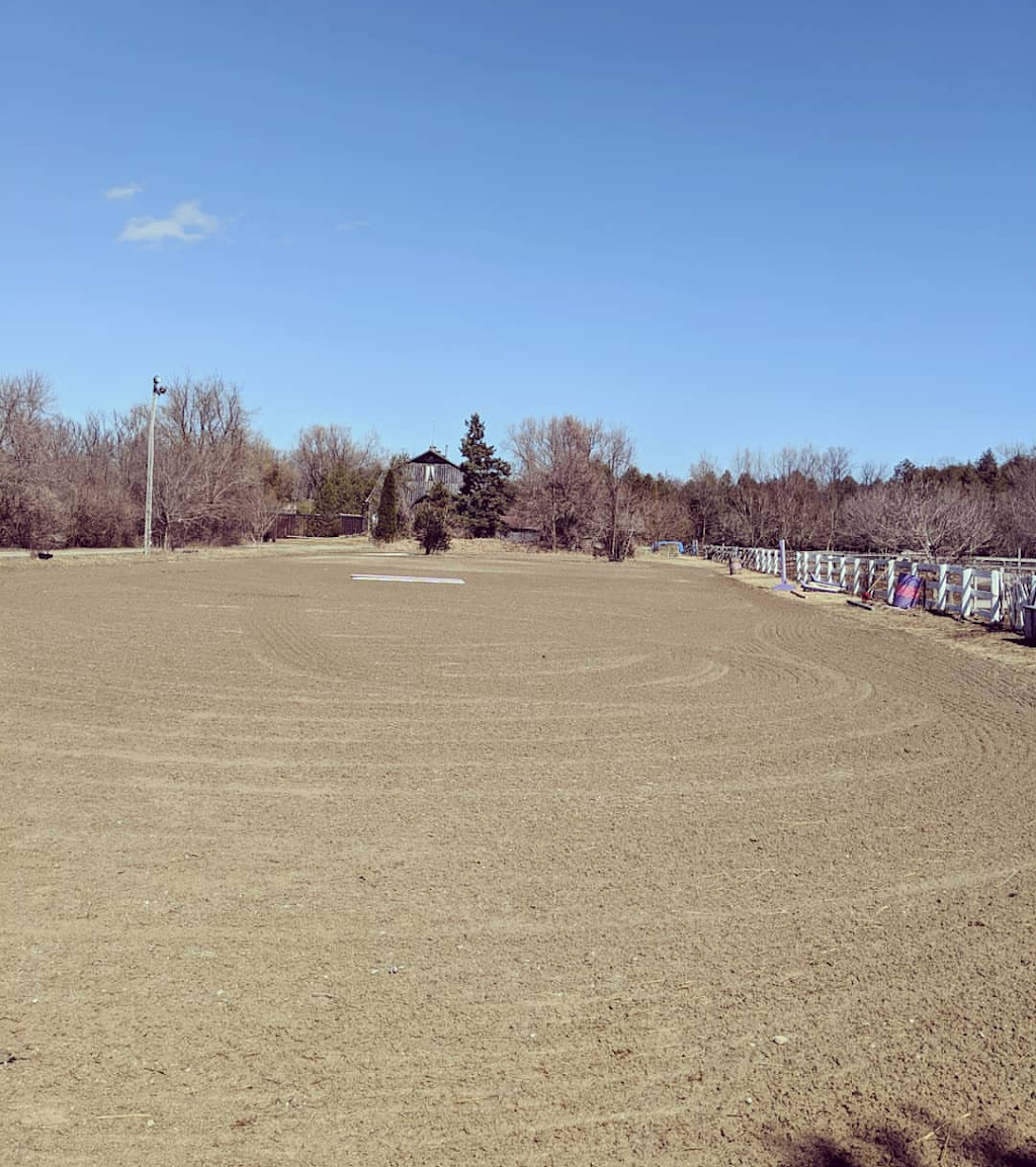 Horseworks | 5160 7 Line, Guelph/Eramosa, ON N0B 2K0, Canada | Phone: (519) 993-0610